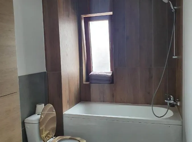 Apartmán Iris Vivo Mall 2 Kluž